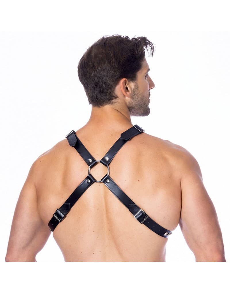 Rimba - Chest harnas versierd met studs 2