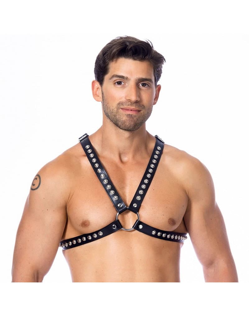 Rimba - Chest harnas versierd met studs