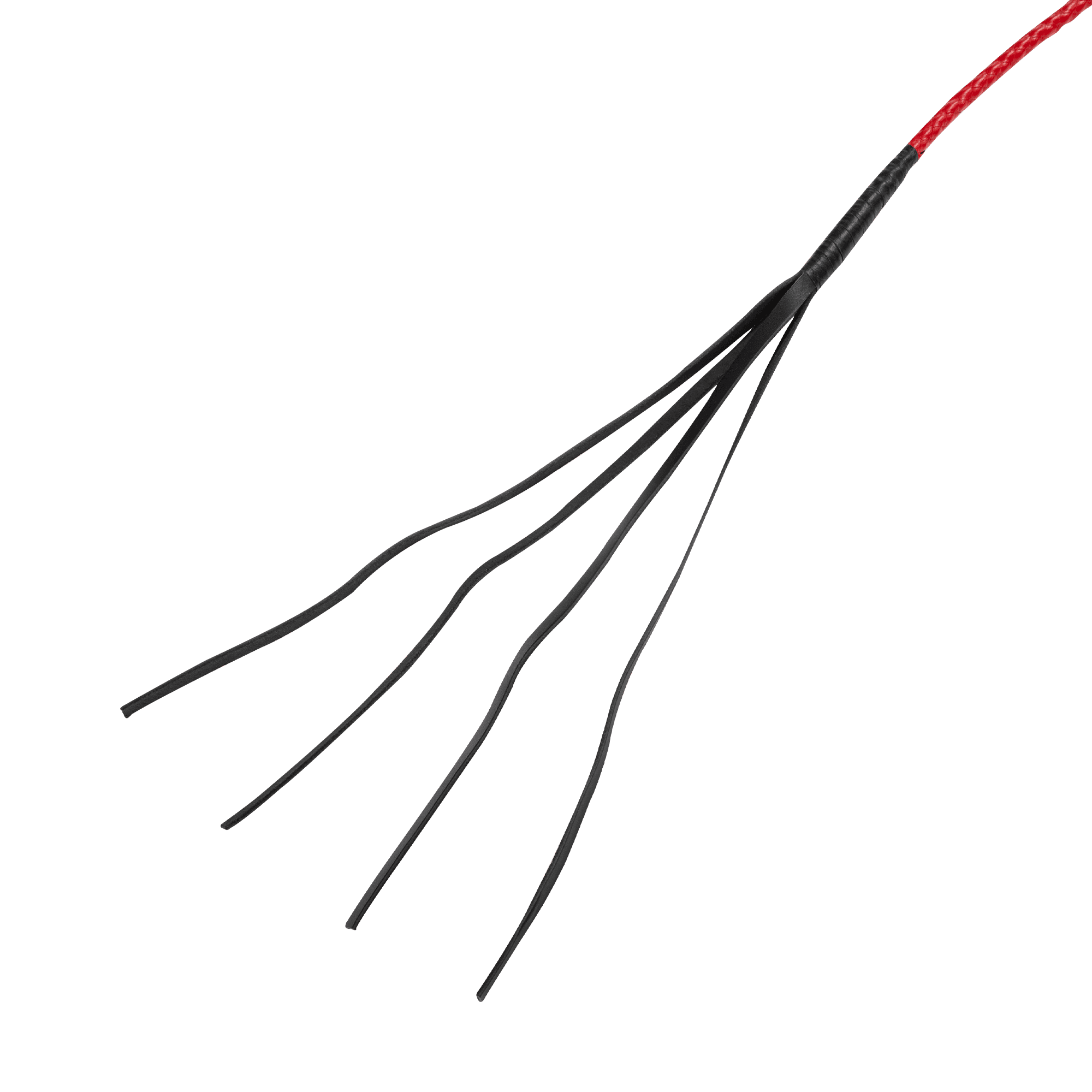 RISE - Feather - Rood 6
